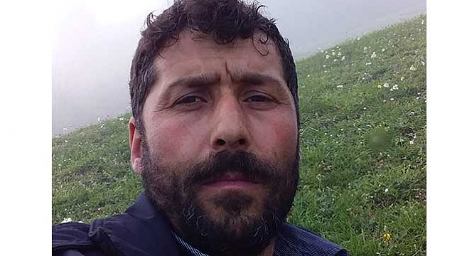 Üzerine ağaç devrilerek can verdi