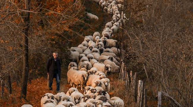 Yaylalardan dönüş başladı