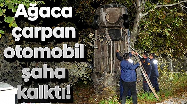 Ağaca çarpan  otomobil  şaha kalktı!