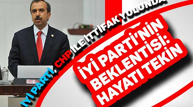 İYİ PARTİ’NİN BEKLENTİSİ:   Hayati Tekin
