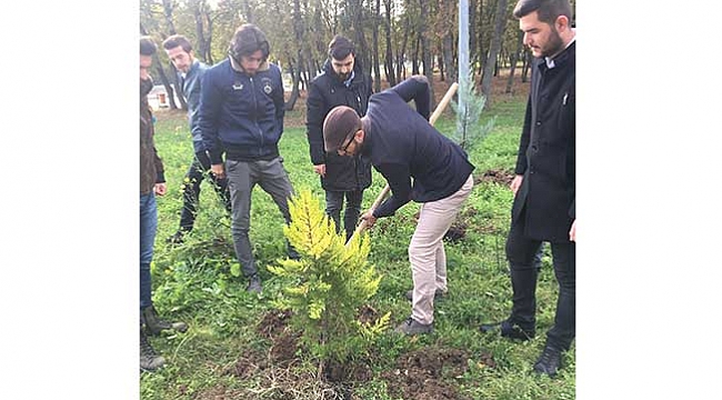 Şehit öğretmenler adına ağaç dikildi