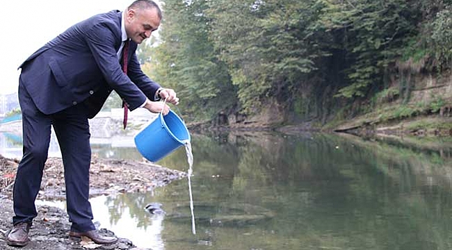 Terme Deresi'ne 40 bin yavru sazan bırakıldı