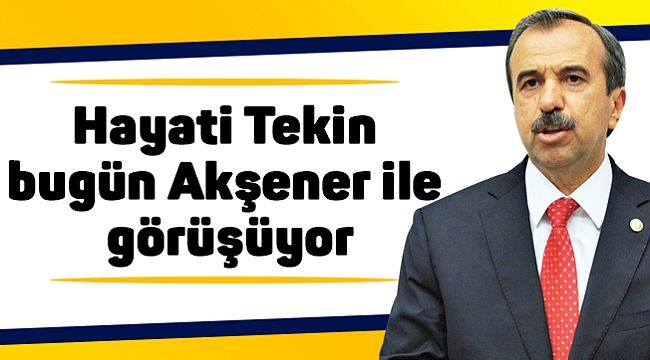 Hayati Tekin bugün Akşener ile görüşüyor