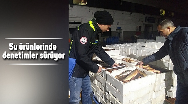 Su ürünlerinde denetimler sürüyor