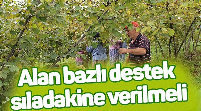 Alan bazlı destek sıladakine verilmeli
