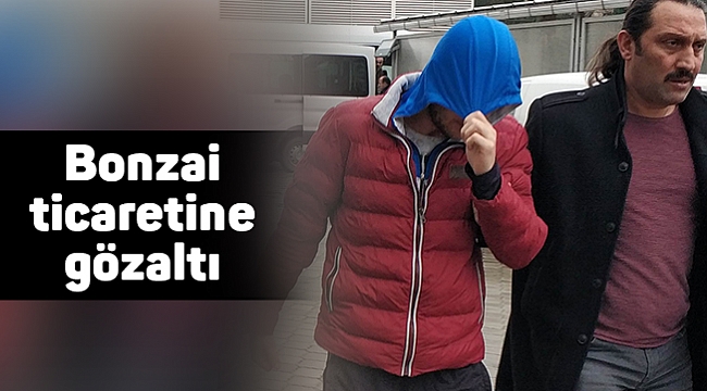 Bonzai ticaretine gözaltı