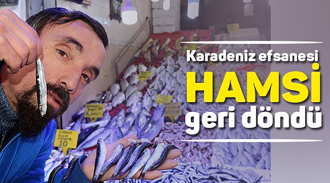Karadeniz efsanesi hamsi geri döndü