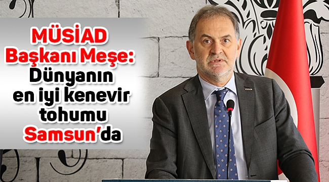MÜSİAD Başkanı Meşe: Dünyanın en iyi kenevir tohumu Samsun’da