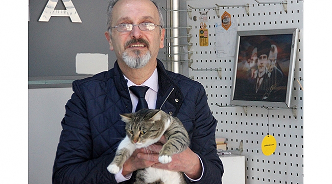 Baktığı sokak kedisi başına iş açtı