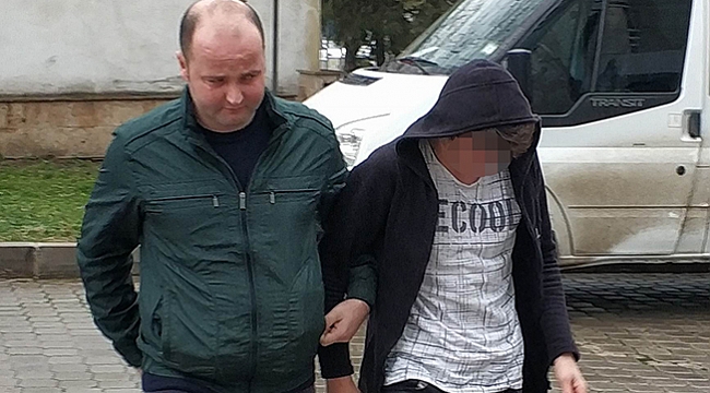 Parkta cep telefonu gasbına gözaltı