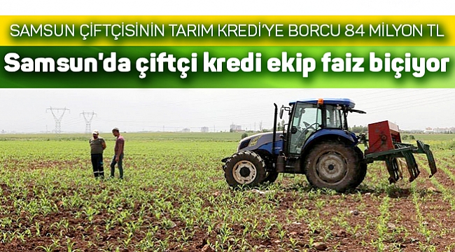 Samsun'da çiftçi kredi ekip faiz biçiyor