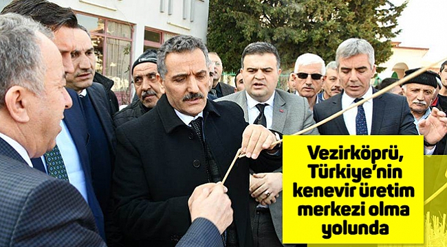 Vezirköprü, Türkiye’nin kenevir üretim merkezi olma yolunda