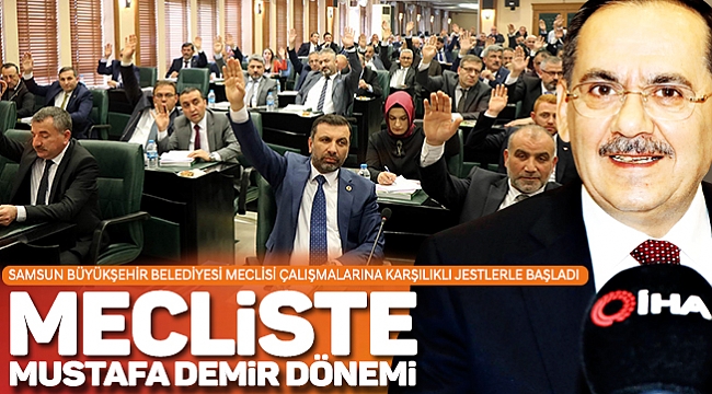 MECLİSTE DEMİR DÖNEMİ