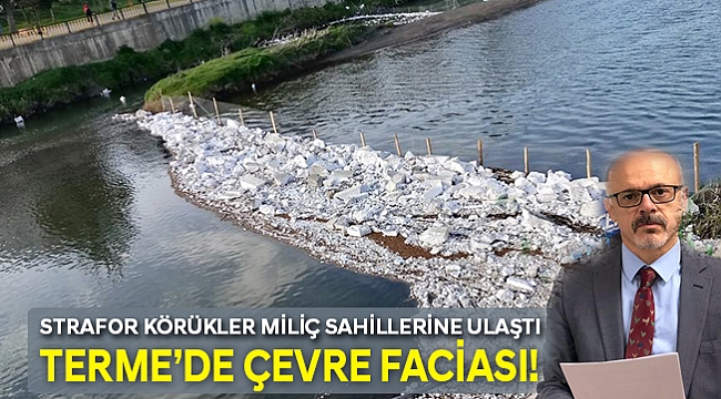 TERME'DE ÇEVRE FACİASI!