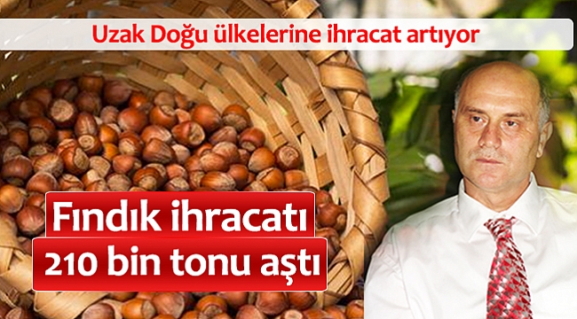 Fındık ihracatı 210 bin tonu aştı