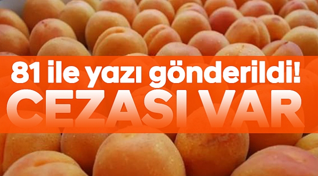 81 ile yazı gönderildi!