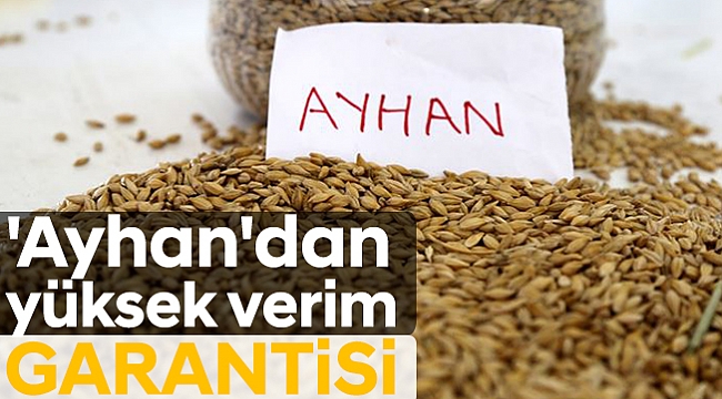 'Ayhan'dan yüksek verim garantisi