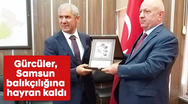 Gürcüler, Samsun balıkçılığına hayran kaldı