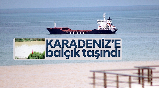 Mert Irmağı kırsalı Karadeniz'e taşıyor