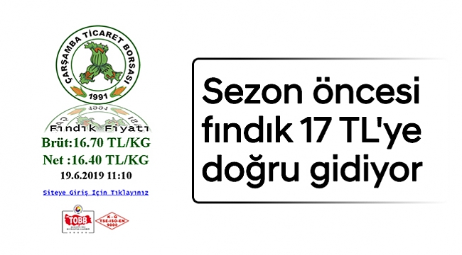 Sezon öncesi fındık 17 TL'ye doğru gidiyor
