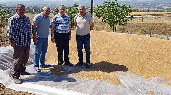 Vezirköprü'de üreticinin yüzü gülüyor