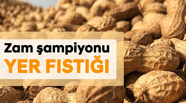 Zam şampiyonu yer fıstığı
