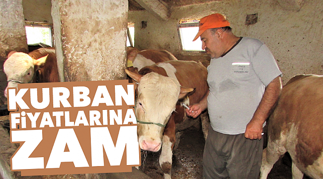 Kurban fiyatlarına zam