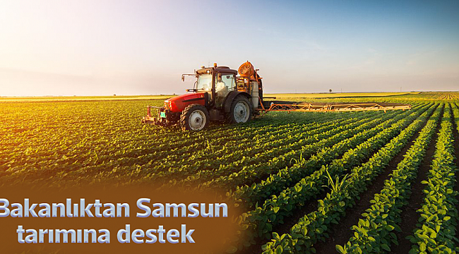 Bakanlıktan Samsun tarımına destek