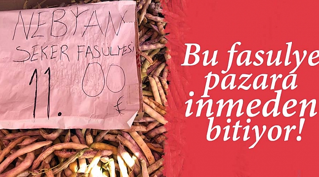 Bu fasulye pazara inmeden bitiyor!