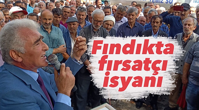 Fındıkta fırsatçı isyanı