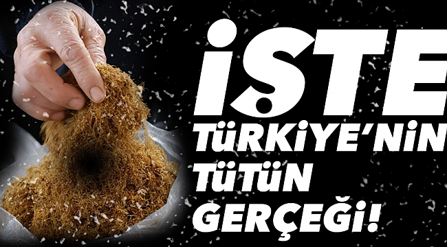 İŞTE TÜRKİYE'NİN TÜTÜN GERÇEĞİ!