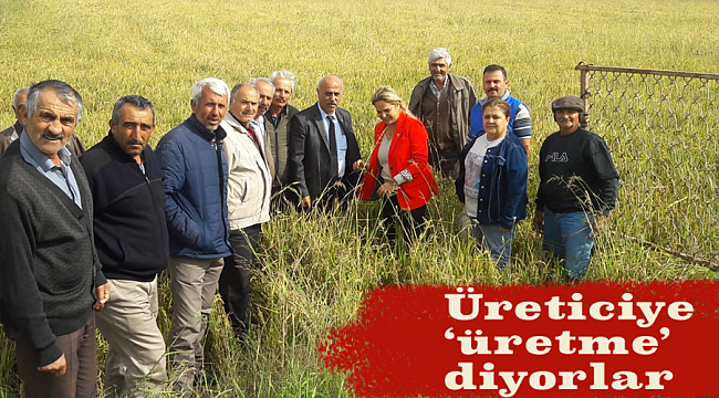Üreticiye 'üretme' diyorlar