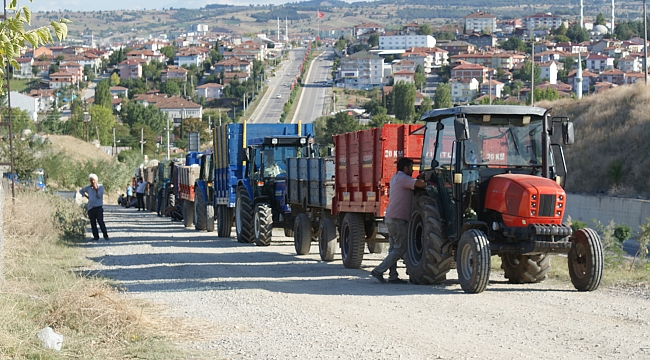 Vezirköprü'de ayçiçeği alımı başladı