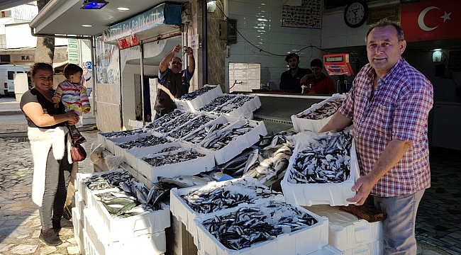 Bafra’da hamsi bolluğu