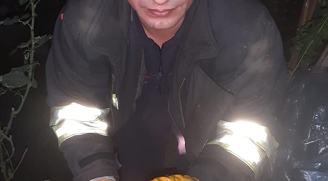 Boruya sıkışan yavru kediyi itfaiye kurtardı