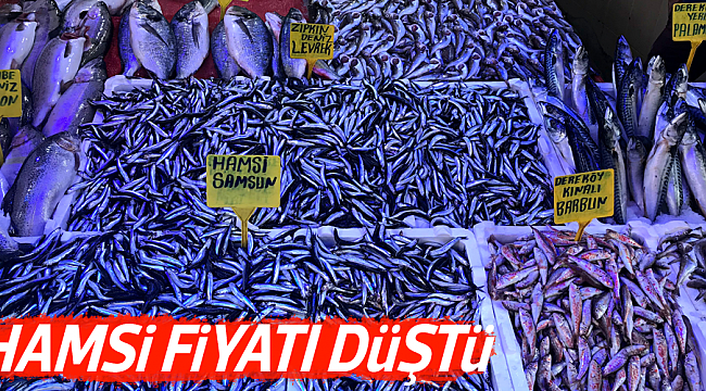 HAMSİ FİYATI DÜŞTÜ