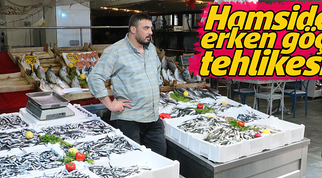 Hamside erken göç tehlikesi