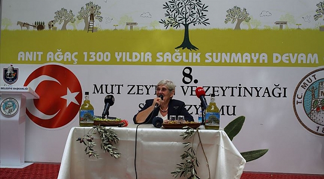 Prof. Dr. Karatay: Zeytinyağı altındır