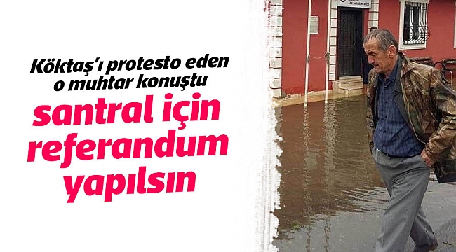 Santral için referandum yapılsın 