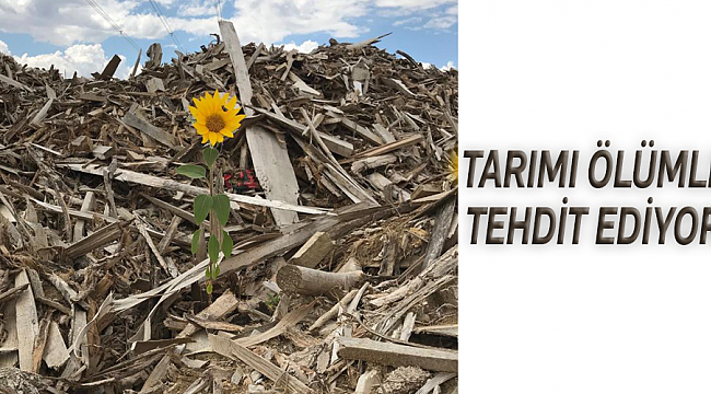 SANTRALİN YERİ YANLIŞ VE SADECE SAMSUN’U DEĞİL, TÜM KARADENİZ’İ BİTİRECEK