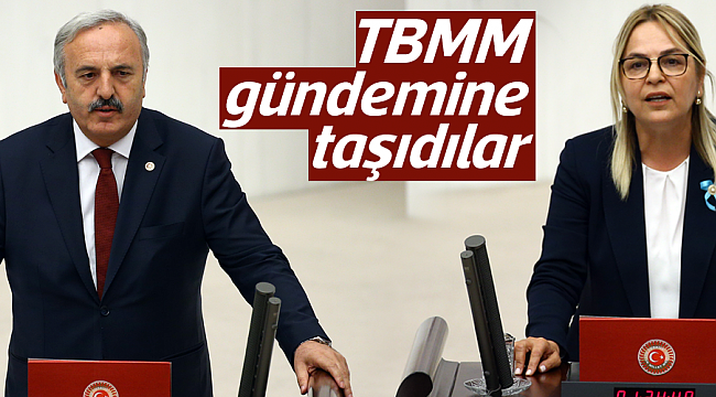 TBMM gündemine taşıdılar