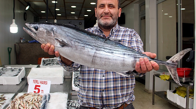 Zindandelen balığı ağa takıldı