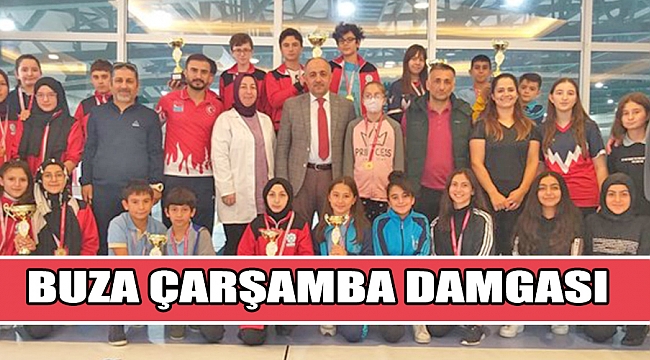 BUZA ÇARŞAMBA DAMGASI