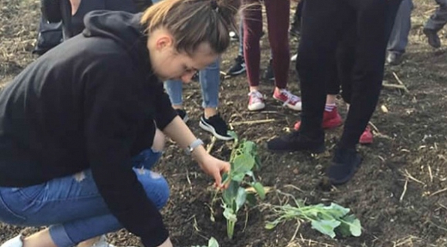 Yabancı öğrencilerden Sürmeli’ye ziyaret