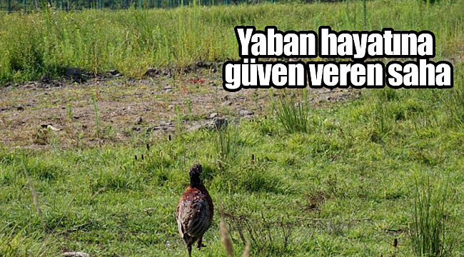 2 MİLYON LİRANIN ÜZERİNDE YATIRIM YAPILDI