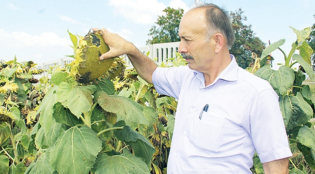 Belgelerinizi teslim edin