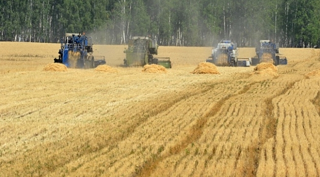 Türkiye buğday ithalatına doymuyor