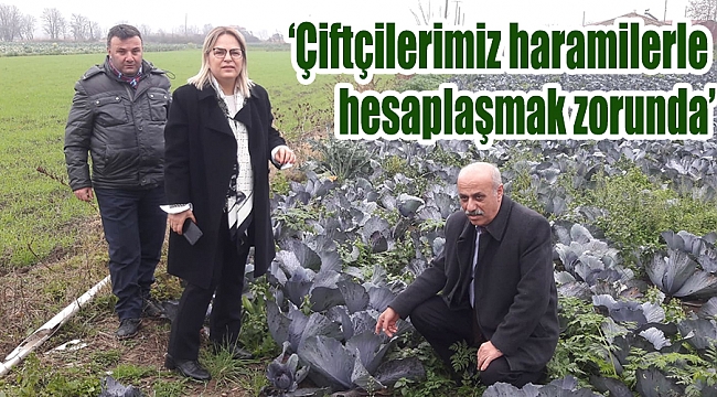 ‘Çiftçilerimiz haramilerle hesaplaşmak zorunda’