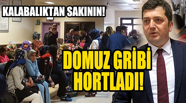 DOMUZ GRİBİ HORTLADI!