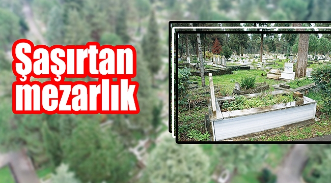 Şaşırtan mezarlık 
